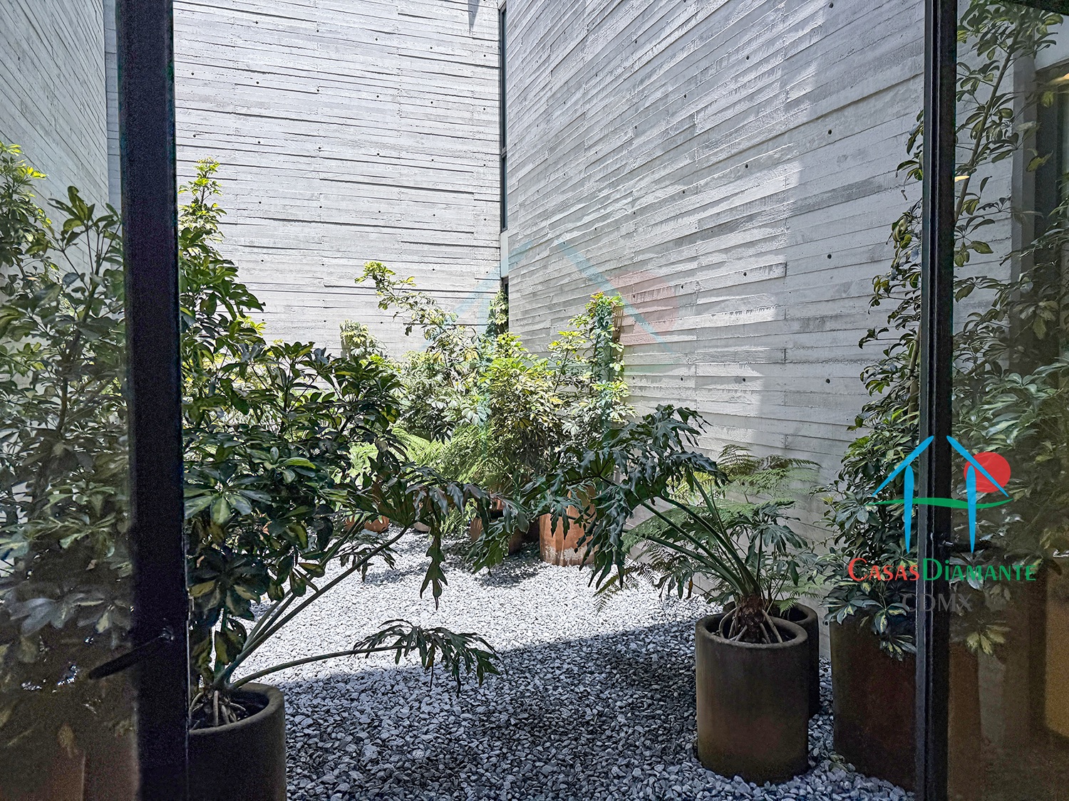 Las Aguilas Ursus AJA - Jardín Zen 1